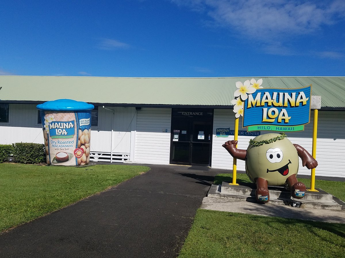 19 mauna-loa-macadamia-nut.jpg