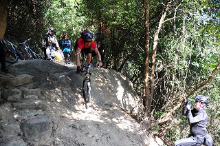 sNWT_4325.jpg