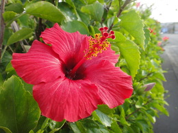 DSC01671.JPG