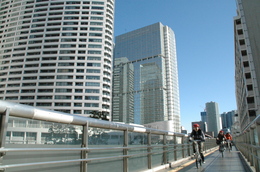 DSC_5201.JPG