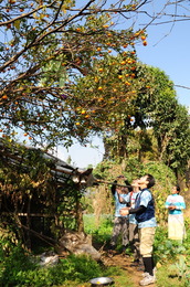 DSC_6916.JPG