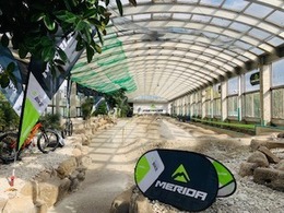 IMG_3822.jpg