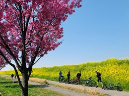 IMG_E7660.JPG