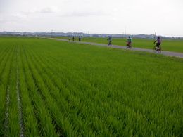 S0410948.JPG