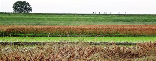 a_DSC09356 - Rs[.JPG