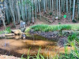 IMG_7240.jpg