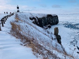 IMG_4500.jpg