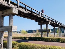 IMG_5017.jpg