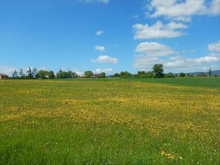 DSCN9863.JPG