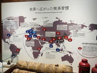 600_IMG_5004.JPG