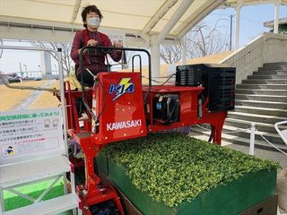 600_IMG_5012.JPG