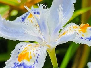 600_nct_IMG_E6300.JPG
