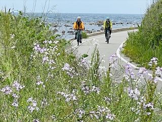 600_nct_IMG_E6379.JPG