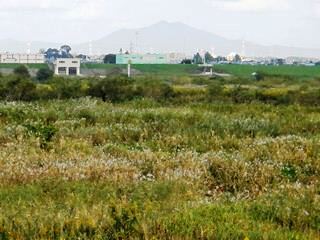DSC00869 - Rs[.JPG
