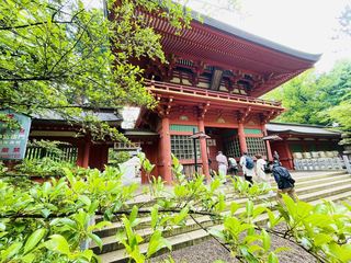 IMG_E6700.JPG