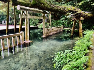 IMG_E9080.JPG