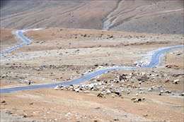 _0613_NWT_0187.JPG