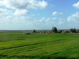 a0210IMG_6766.JPG