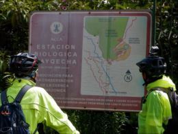 b_S0398802.JPG