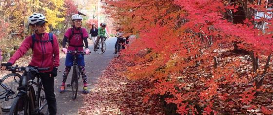 niwa_PB040107.JPG