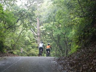 niwa_S0160391.JPG