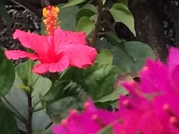 r2013_1229IMG_5591.JPG