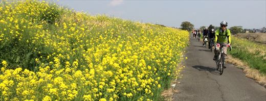 yamazaki_IMG_6924.JPG